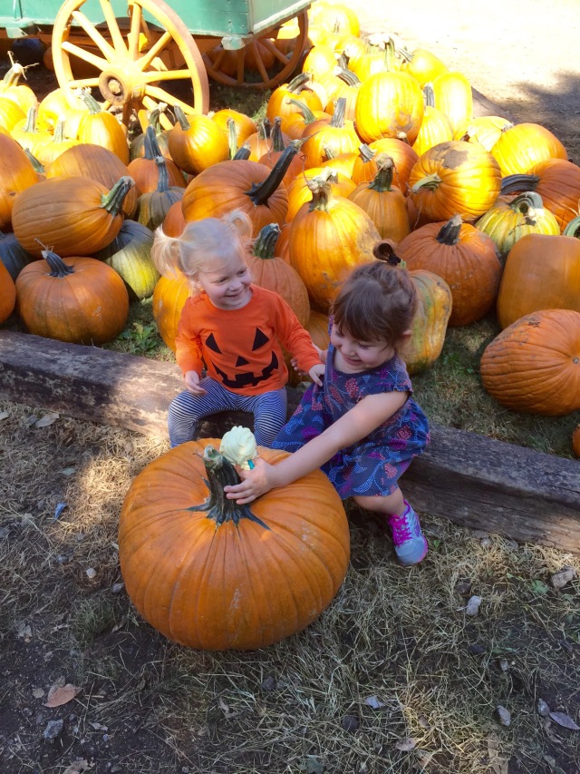 Vala’s Pumpkin Patch | Coffee Cups and Belly Laughs